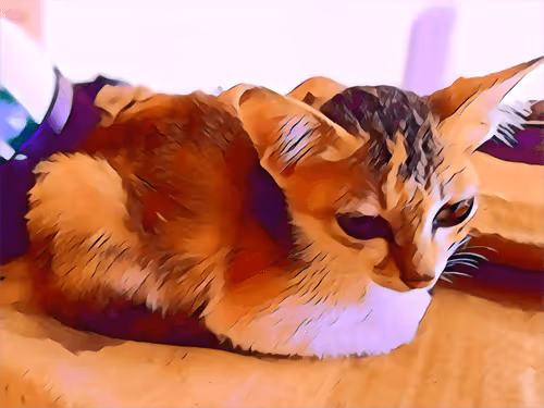 Item #74122138759525378795667626270866148487737655975912799548892275357845683175425 Media