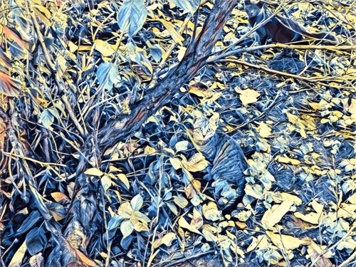 Item #46397680814911453718365897270123246439130732684861044295736256060522458251265 Media