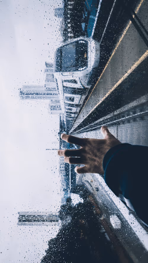 Item #71554927510311117317373441502463801617778419084178431383925038303745553727489 Media