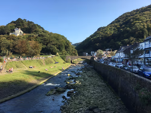 Untitled Collection #81201248