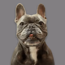 99031261785432219130552668818269695456905868997165113515571762251081510289409