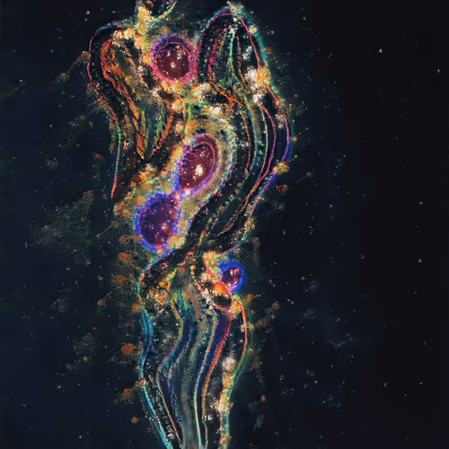 Item #72985999153742788917036858211909196762595152832976492274408758051209459269633 Media