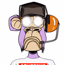 88072826200970444948142643721819409004047930992691189708885486962569732161537