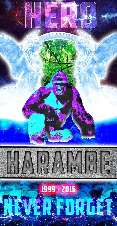 Item #48790520787155310426102062731270564561928034817995506544027698526059627544577 Media