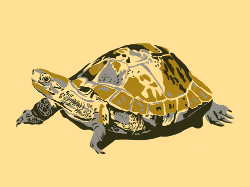 Item #86286569011672249143581902672238150923937334210812916089856769927268267982849 Media