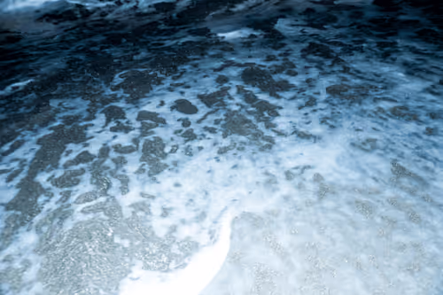 Item #65334289746679534718729475887804441956060191570096093289886828079484447490049 Media