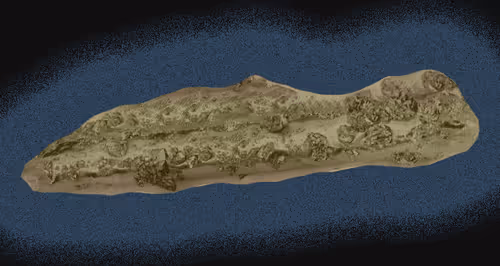 Item #23344909833982927759449354934161760902861299236870256910878803425705341222913 Media