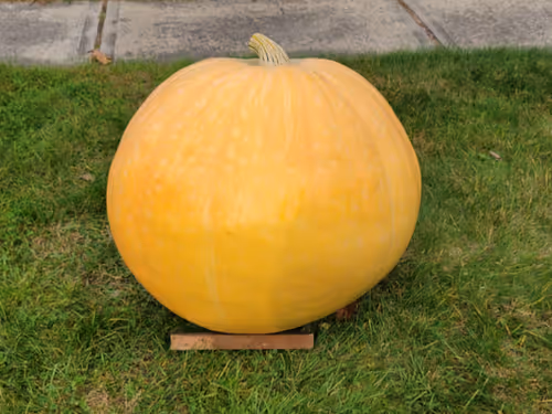 Item #59387618449114500139204553376349089027368460030531793206769396866267855454209 Media