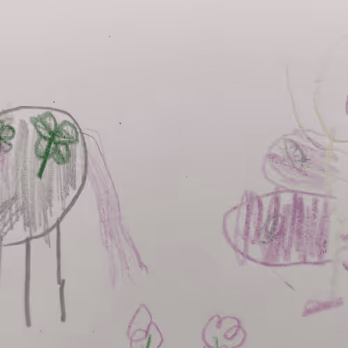 Untitled Collection #80804592