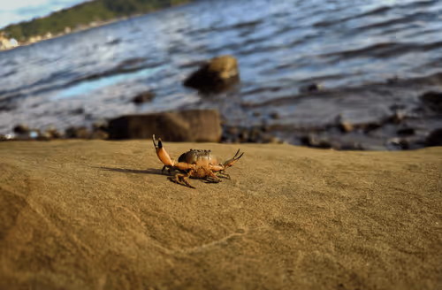 Item #114521557681587448164416414833705315608998654968609078692768572485137661427713 Media