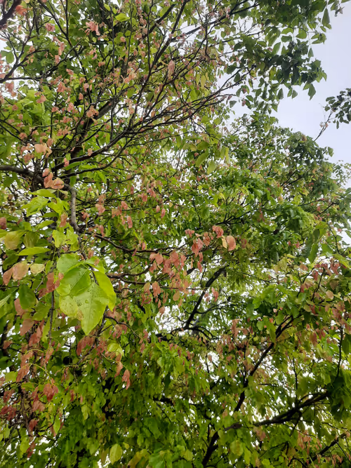 Item #86460548825896395183188707427462696963522650148758793724109723175771944517633 Media