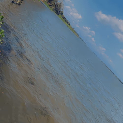 Item #53824836538918648026680043126042186080742309087165823150174572770464481935361 Media