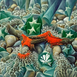 Coral Reef, #0100