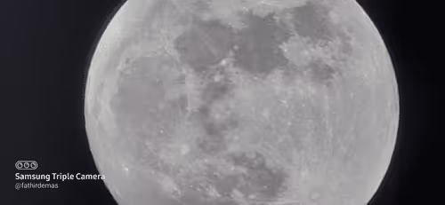 Item #78774018974347764357765192518377150739749637856503949941232678363298004992001 Media