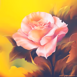 Art 5