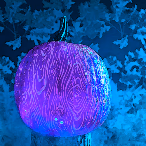 15081463501546268006596121588316872326209313817998412847676536824657828904961