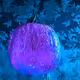 15081463501546268006596121588316872326209313817998412847676536824657828904961