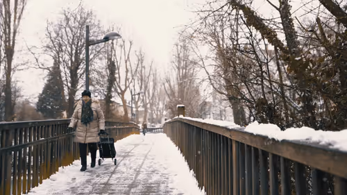 Untitled Collection #128922591