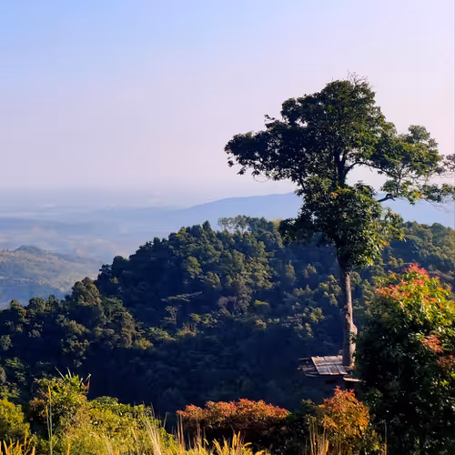 36576831440143805392941663370784632580807018479788440531803952993682849792001