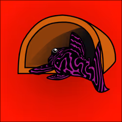 81664083123670143983968740139941474364733981378414170565535210075475763265537