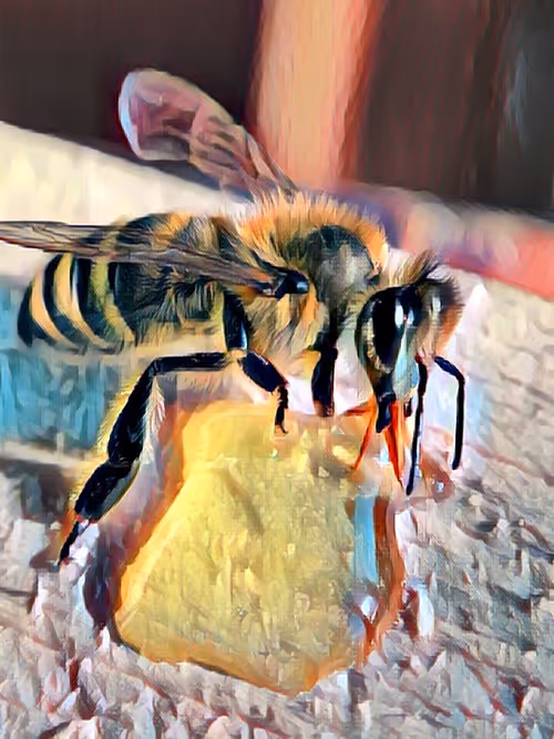 Item #101599579626109009666607068920778550362968334718480795982881728439679688114177 Media