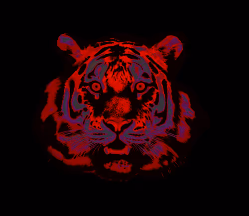 Item #59191331976373817351168936275193705412897253256458674987346138598403481796609 Media