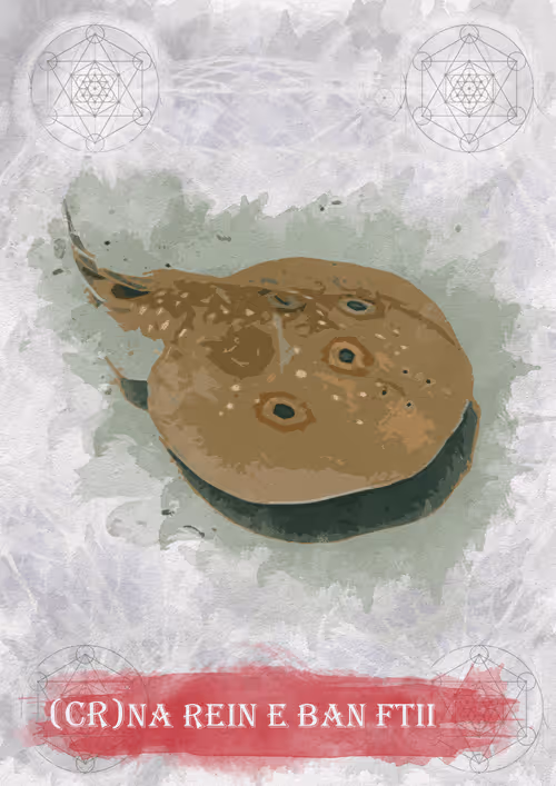 Item #108829080069432666427413762901192148077907568328307962474054884585937779556359 Media