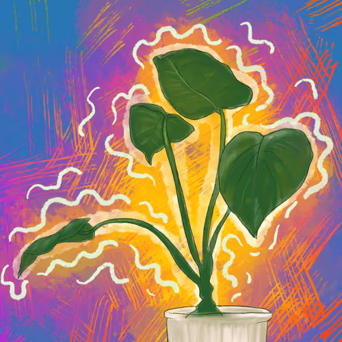 Item #113840887909728204596155015209511446009025735206628356367668226241467699429377 Media