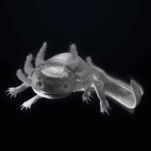 Item #39982110375740153587505644478940195082872270202471884348459982293135288958977 Media