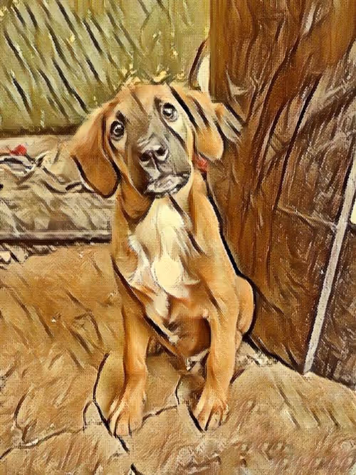 Item #109885862523976899144651734441556854765315219074328426947809034496497929945089 Media