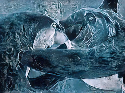 Item #92026454055219162200160457034810512662220481532006588583078929656953111052289 Media