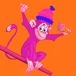 Cool Monky Banane Shela Team 3