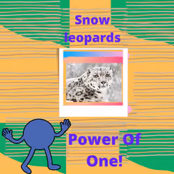 Snow Leopards Forever - Protecting Endangered Animals