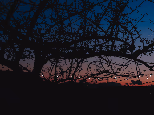 Item #39839674227890189700026510559973847228858088211999219284727999993953476673537 Media