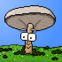 33741781216748986518517832568595493503429706584982134247768926137154606727169