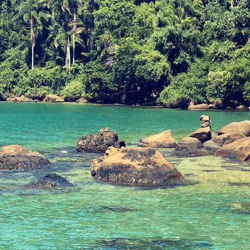 Item #42371708316015035804653308093139138598613107876517934913588075190796834308097 Media