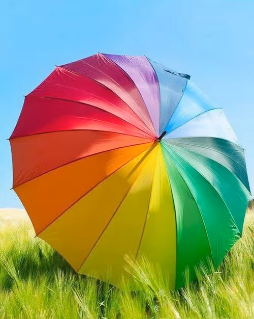 Item #47849128310373031745347207879703345159210443796702605430922435895563180307200 Media