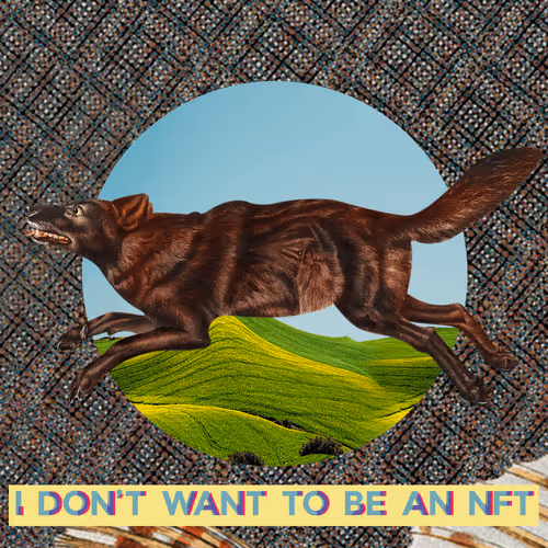 Item #3530187889540553224700552633621350802399192504372702264799301441542477053953 Media