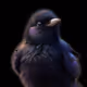82325842453241642357419783554849380016853068262164490477772616776524159254533