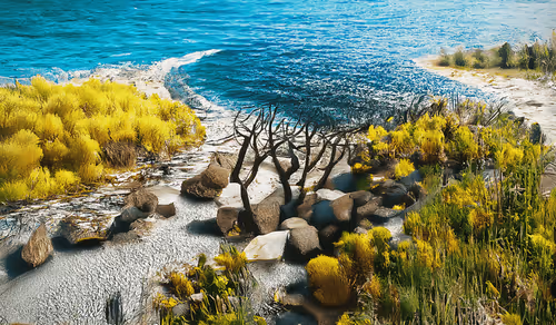 Item #35614134034872506238297801040035568737807136836094272711511421894458456670209 Media