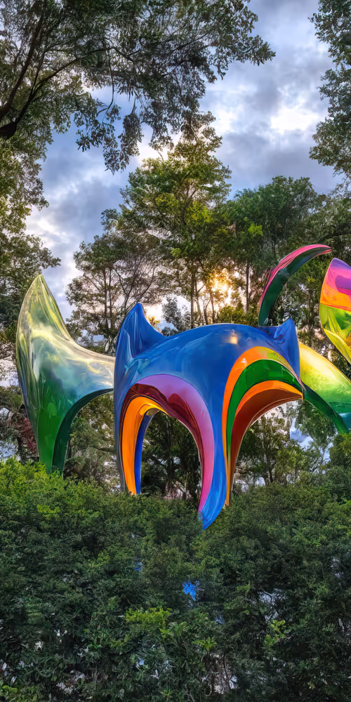 Item #53204195999668057401361450590388499232587888718751066529720239262013386129409 Media