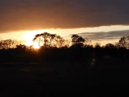 Item #62047745387527042247084201228282666803326120375556222532536150509508074930177 Media