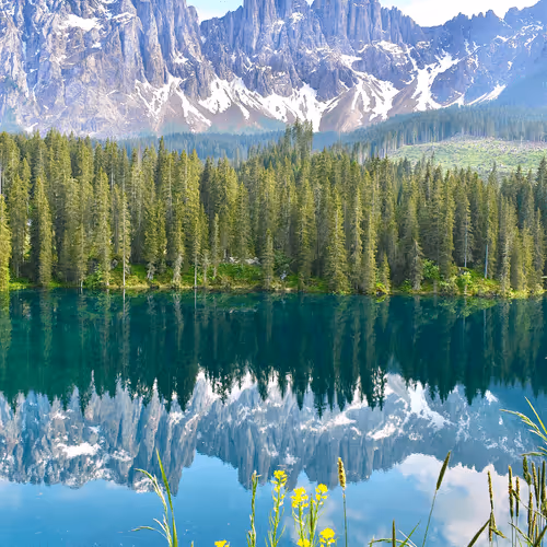 Item #66486909151795806926877165671639202485022646701463530228348329510311915683841 Media