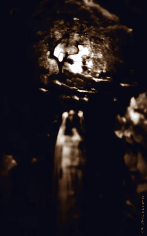 Item #102799816947575084356845791588710391429757566637146872825580037287017751511045 Media