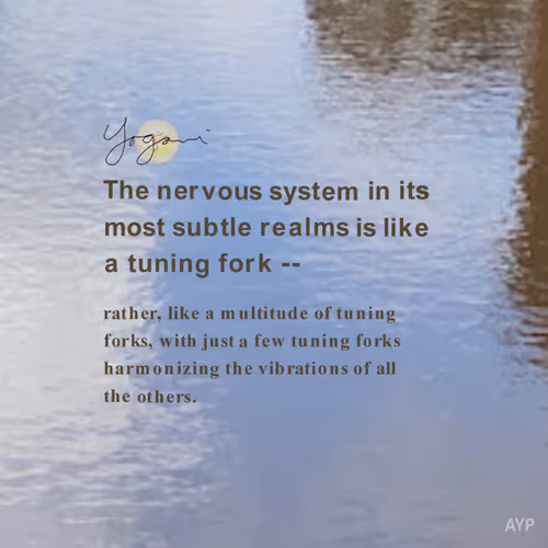 Item #99589875316467410467616575816123039557584291127689137666827262849463456104449 Media