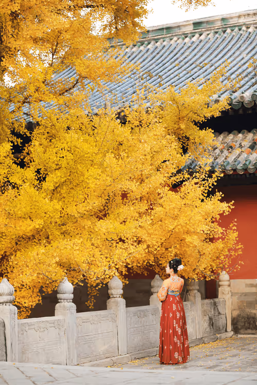 Item #60504825123795156460850440680045327638256735680672290215828937331185526243338 Media