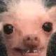 27234824487803958324427286159278413103906717032324582562624179355607793401857