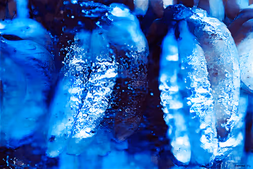 Bananas Frozen