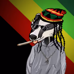 Badger #9