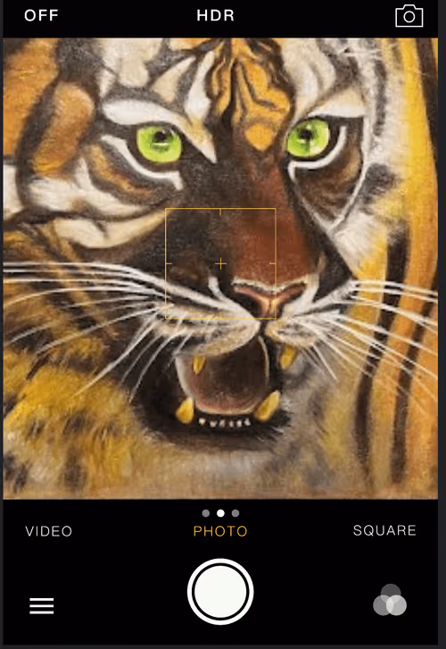 Item #39269059559460933264004887875776042140409133568110776015333041926283177492481 Media